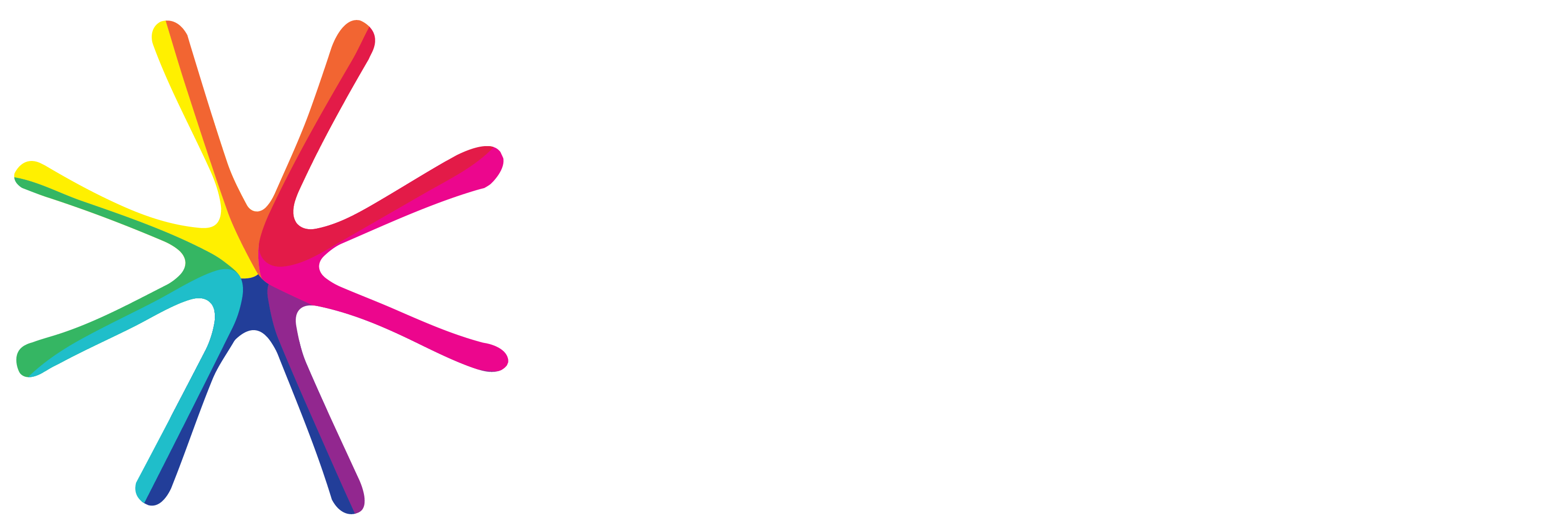 brightlogo_Web_Official